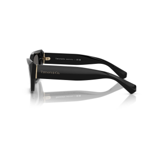 Tiffany & Co. 4230 SOLE Col.8001S4 Cal.54 New SUNGLASSES