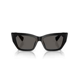 Tiffany & Co. 4230 SOLE Col.8001S4 Cal.54 New SUNGLASSES