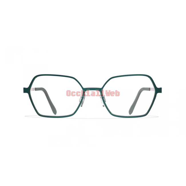 BLACKFIN BF 992 DANA POINT Col.1498 Cal.53 New EYEGLASSES-EYEWEAR